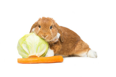 Similar image 11846201