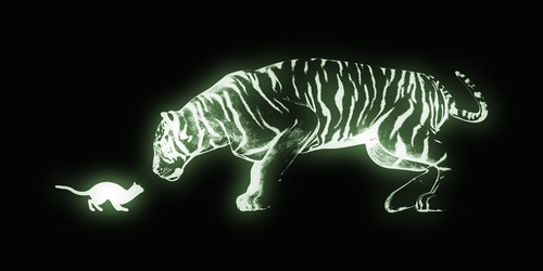 Similar image 11850109