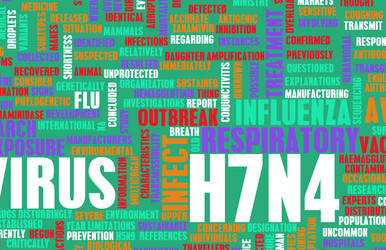 Similar image 11849987