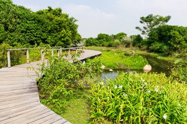 Similar image 11851538