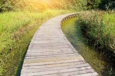 Similar image 11851559