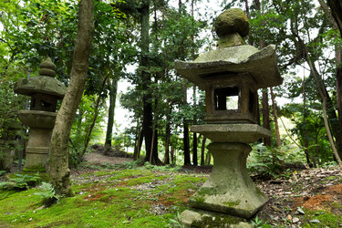 Similar image 11851657