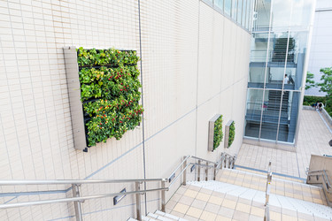 Similar image 11852159