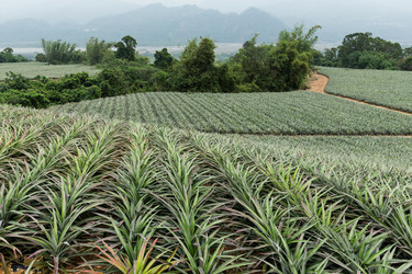 Similar image 11852258