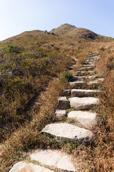 Similar image 11852357