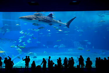 Similar image 11852437