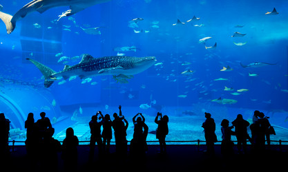 Similar image 11852476