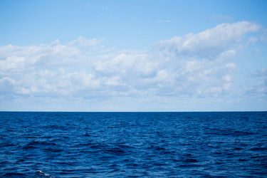 Similar image 11852496