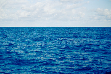 Similar image 11852497