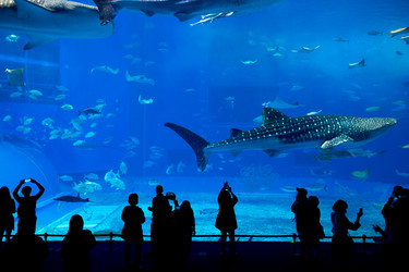 Similar image 11852536