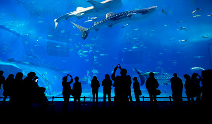 Similar image 11852576