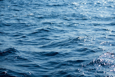 Similar image 11852817