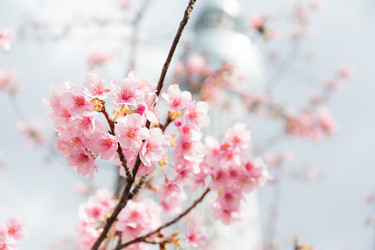 Similar image 11851857