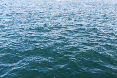 Similar image 11852137