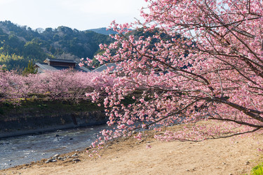 Similar image 11852379