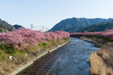 Similar image 11852418