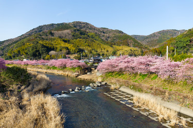 Similar image 11852419