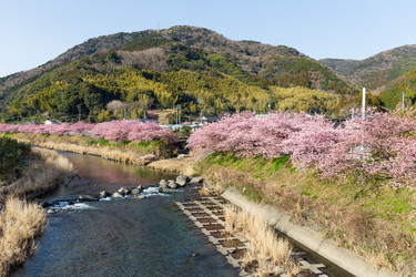 Similar image 11852459