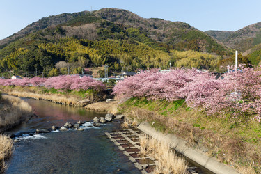 Similar image 11852460