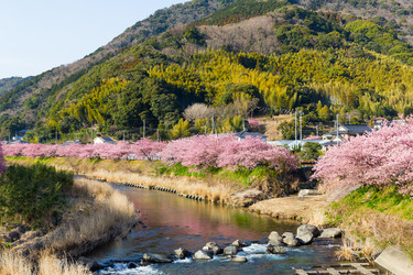 Similar image 11852461