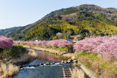 Similar image 11852478