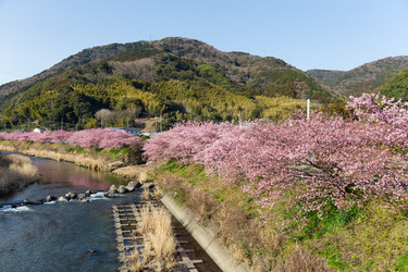 Similar image 11852480