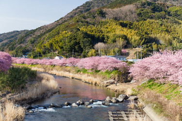 Similar image 11852500