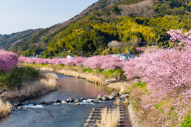 Similar image 11852519