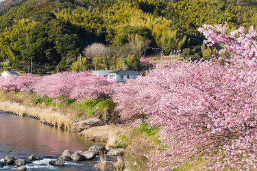 Similar image 11852539