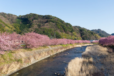 Similar image 11852838