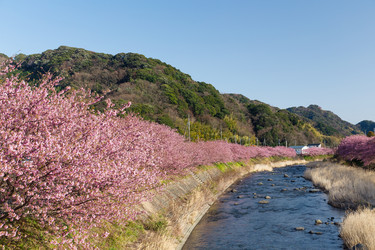 Similar image 11852876