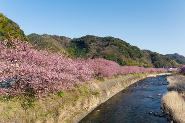 Similar image 11852898