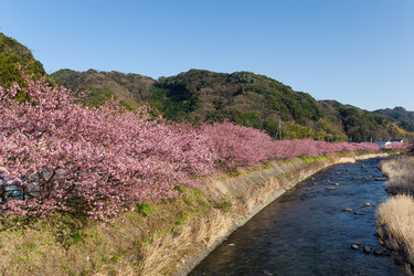 Similar image 11852899