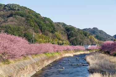 Similar image 11852919