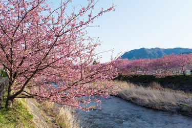 Similar image 11852920