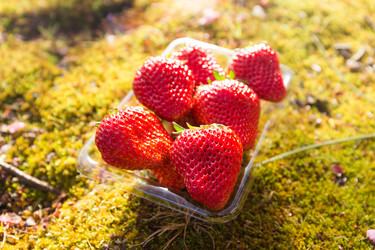 Similar image 11852936