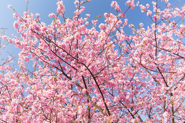 Similar image 11852938