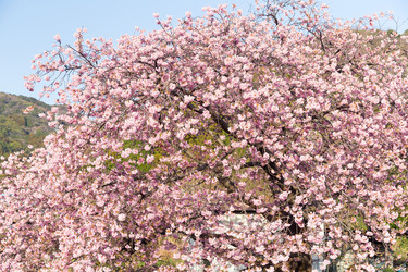 Similar image 11852996