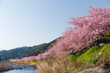 Similar image 11852997