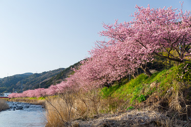 Similar image 11852999