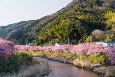 Similar image 11853016