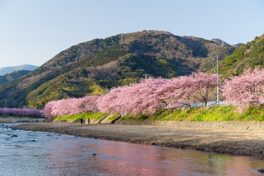 Similar image 11853017