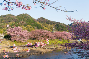 Similar image 11853018