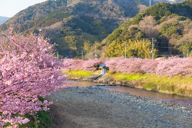 Similar image 11850691