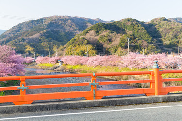 Similar image 11850700