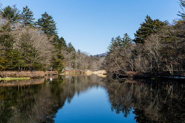 Similar image 11852184