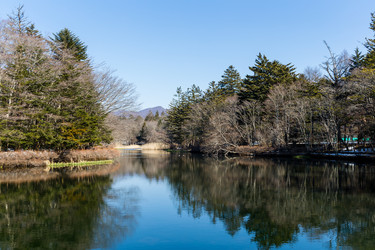 Similar image 11852200