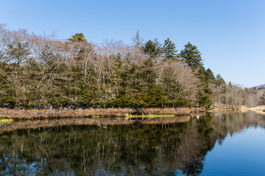 Similar image 11852221