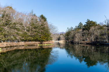 Similar image 11852242