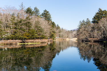 Similar image 11852263